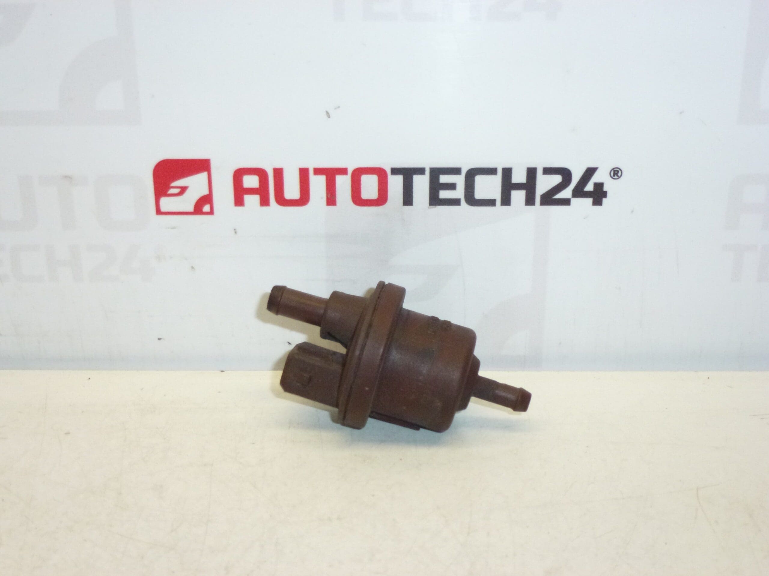 Zawór z węglem aktywnym Citroën Peugeot 0280142317