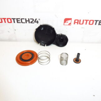 Komplet membrany pokrywy zaworów 1.6 HDI 0248S0