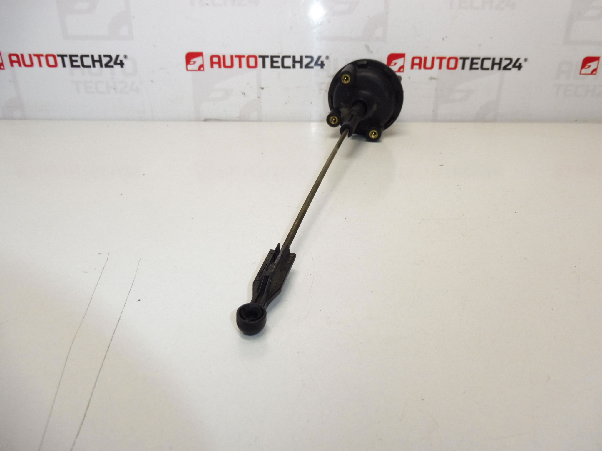 Podciśnieniowy siłownik przepustnicy Citroën Peugeot 9634638580 036387