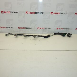 Wiązka wtrysków DELPHI Citroën Peugeot 2.0 HDI 9662908580 6569Y5