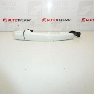 Citroën Peugeot EWBP 9101GH Drzwi