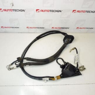 Kabel połączenia + słup w Citroën Peugeot 1497069080 1497070080 SILNIK