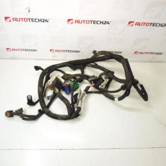 Citroën C-Elysée Peugeot 301 1