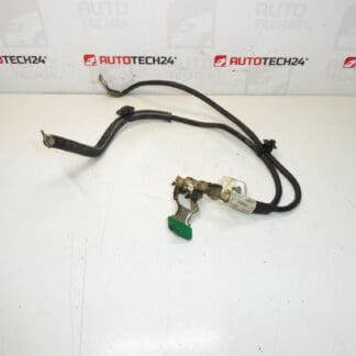 Citroën Peugeot 9661191580 minus pakiet