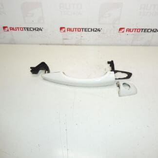 Citroën Peugeot DS EWP 9101LV Drzwi do drzwi