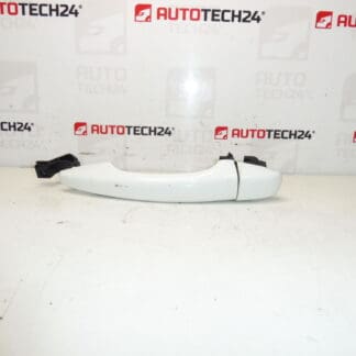 Citroën Peugeot DS EWP 9101LW Drzwi