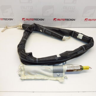 Poduszka sufitowa lewa Peugeot 207 9650247880 8331W8