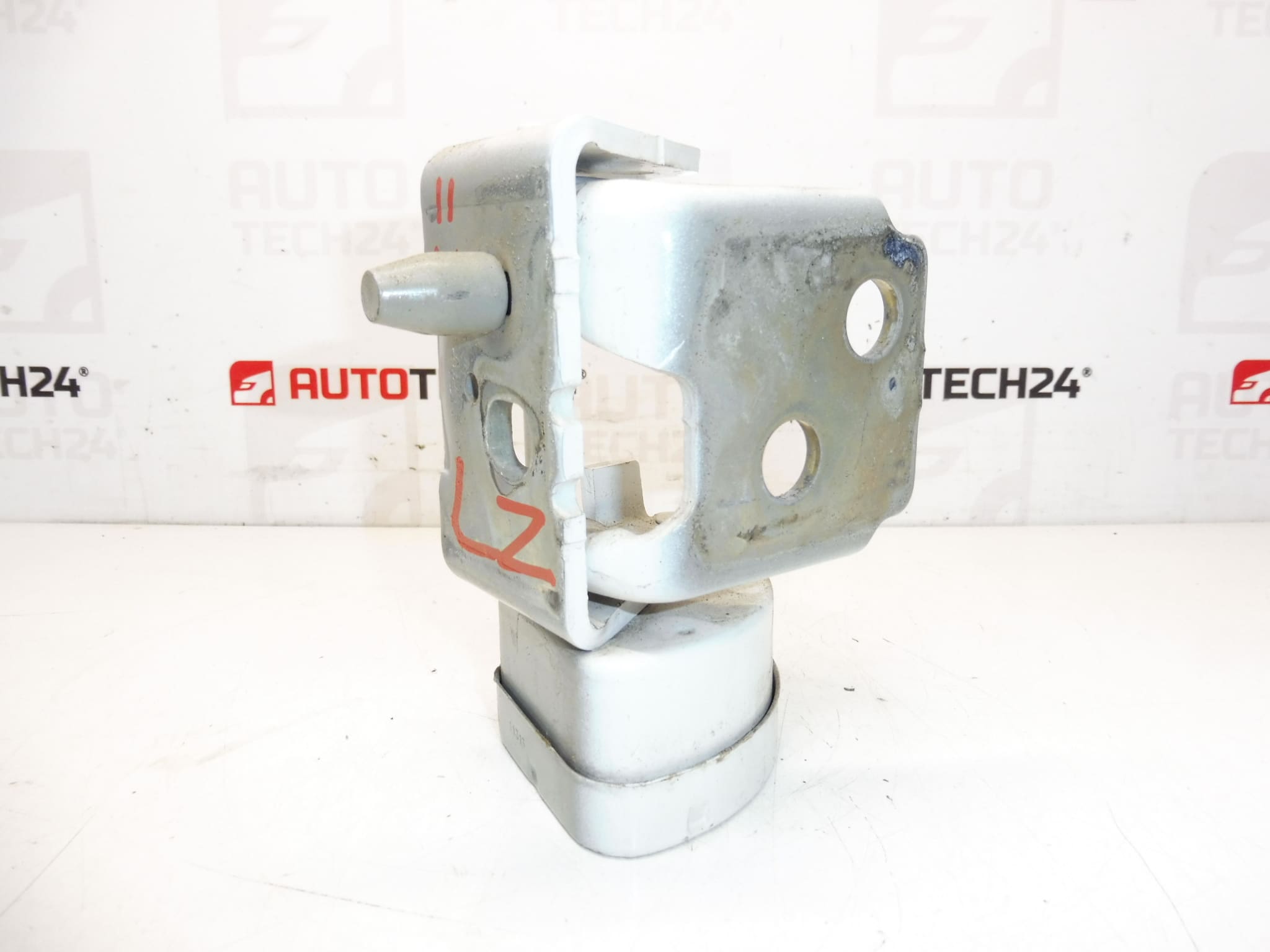 Ogranicznik zawiasu lewych tylnych drzwi EWPB Citroen C3 Picasso 9035CL - obrazek 2