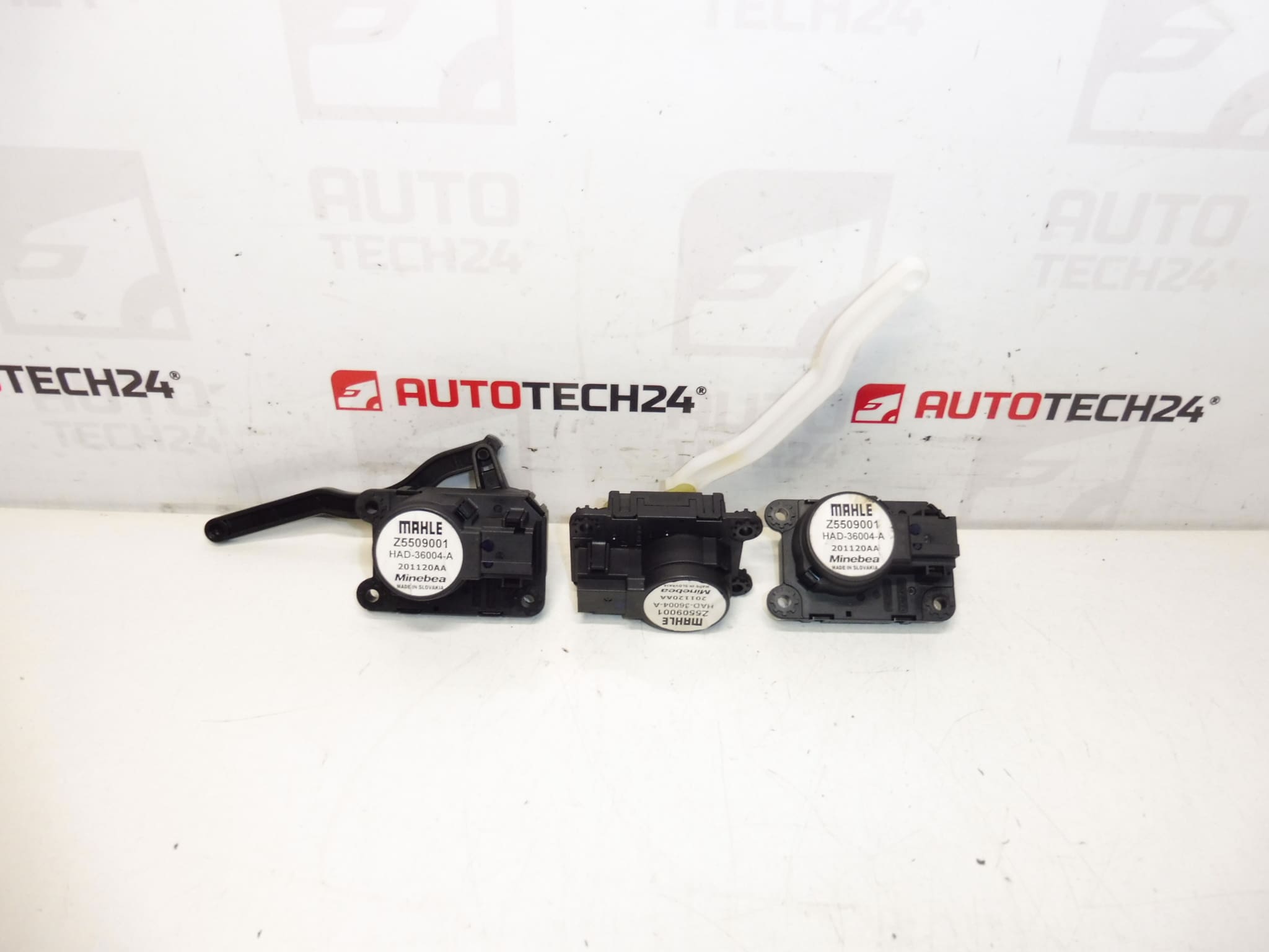 Serwo Mahle Citroën Peugeot Z5509001 1610496880