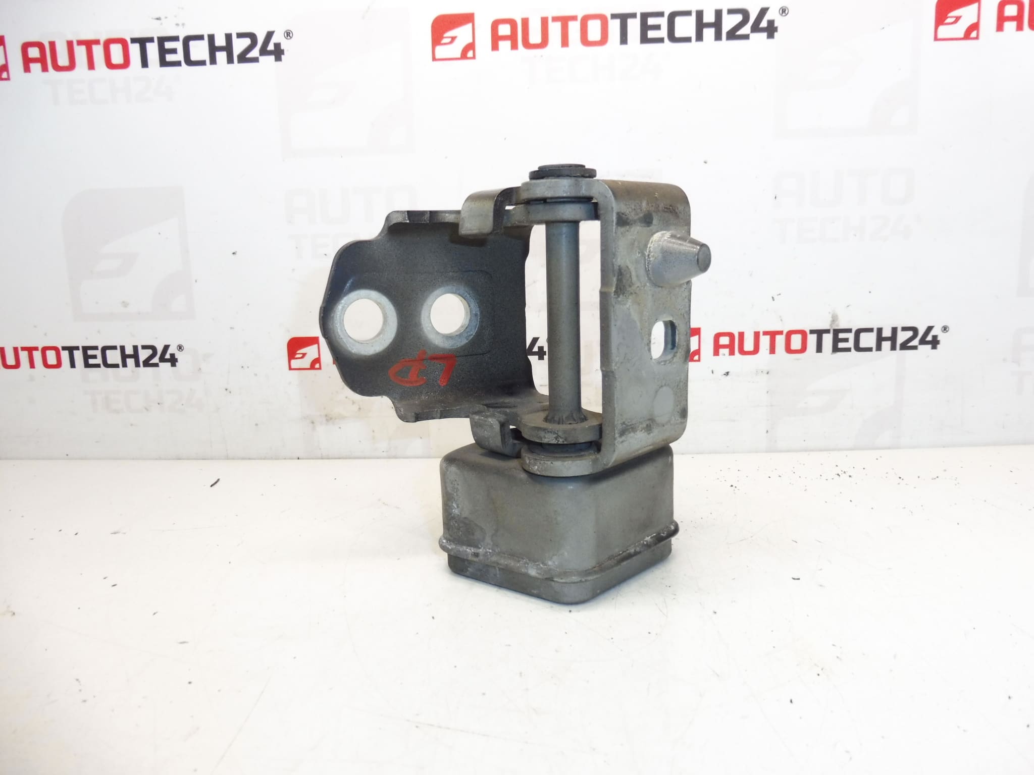 Ogranicznik zawiasu drzwi przednich lewych EXLD Peugeot 207 9035T5