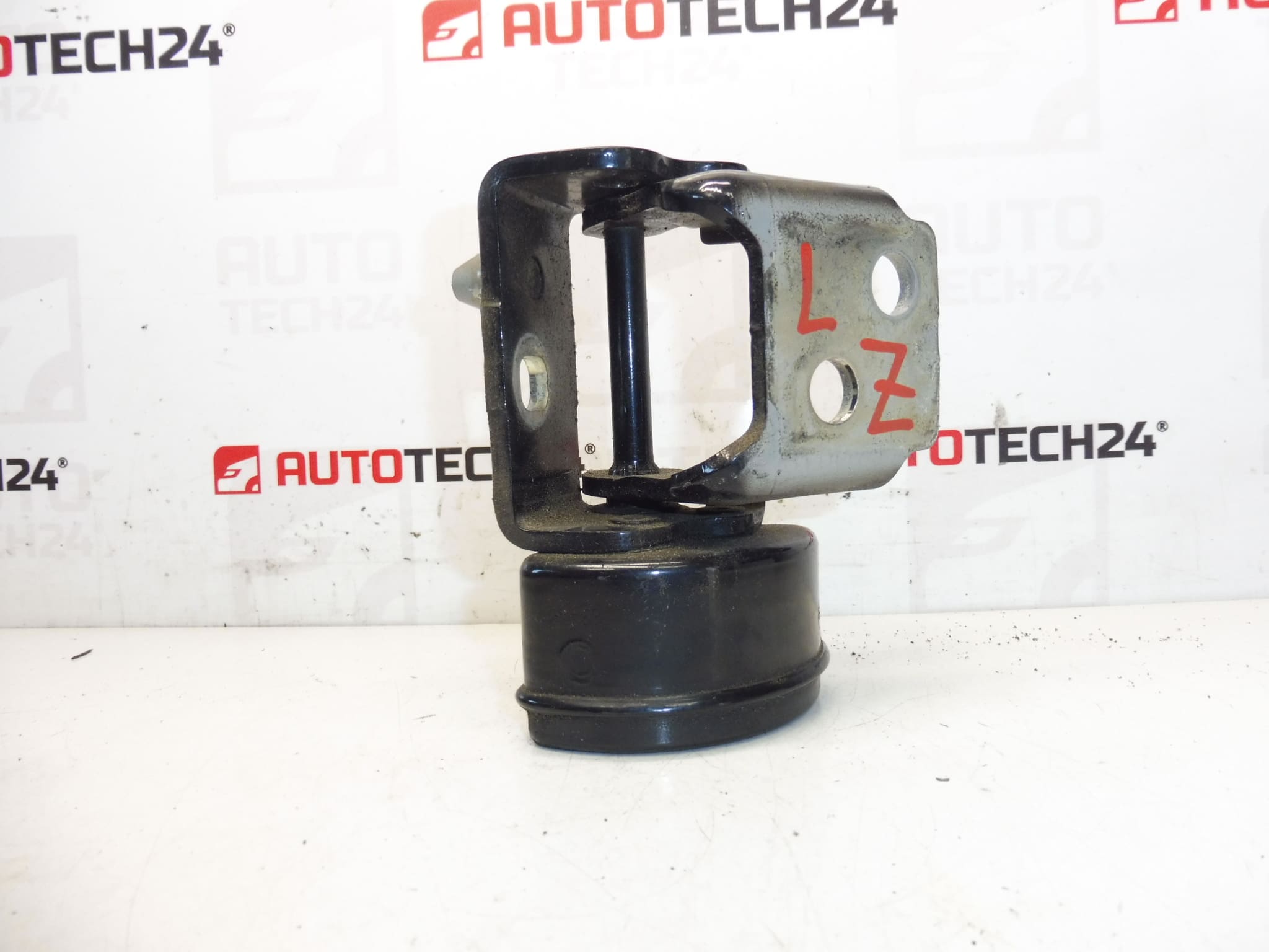 Ogranicznik zawiasu drzwi tylnych lewych EXLD Peugeot 207 9037C1