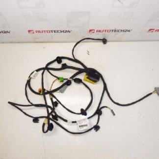 Uprząż pasażera Citroen C4 Picasso Valeo 6505W1 5243584
