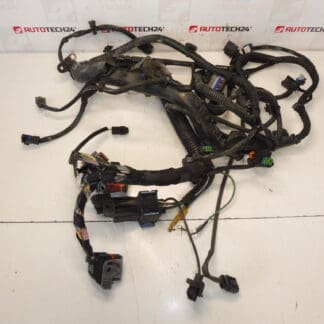 Wiązka Citroën Peugeot 2.0HDI RHJ 9684608680 6569RY