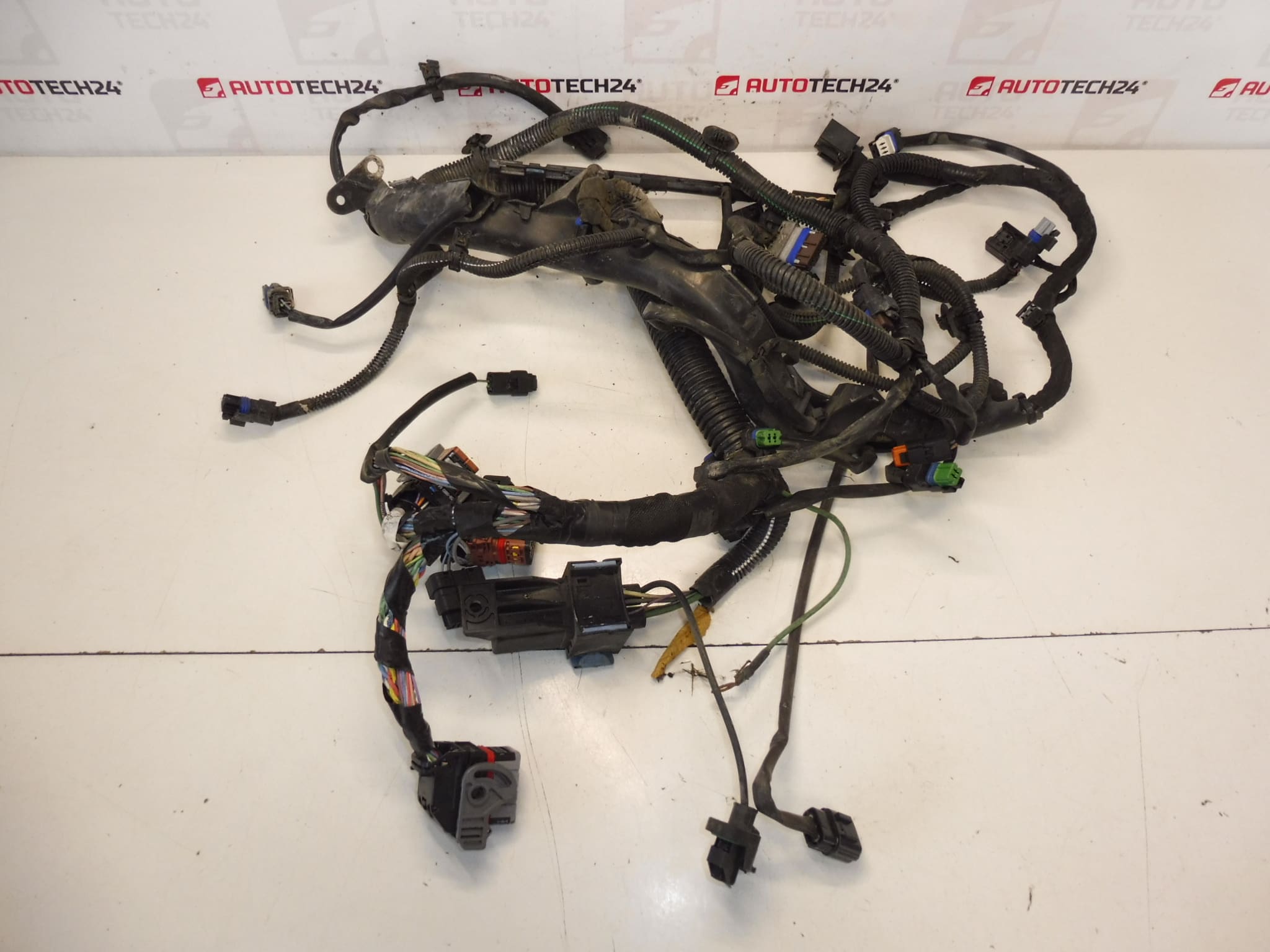 Wiązka Citroën Peugeot 2.0HDI RHJ 9684608680 6569RY
